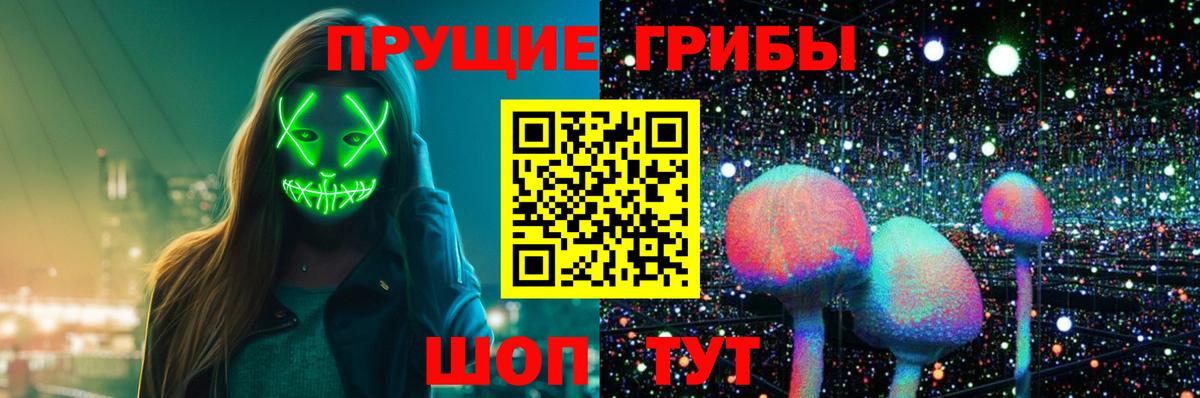 Псилоцибиновые грибы Psilocybe  Вход с VPN  Омск  Псилоцибиновые грибы MAGIC MUSHROOMS 