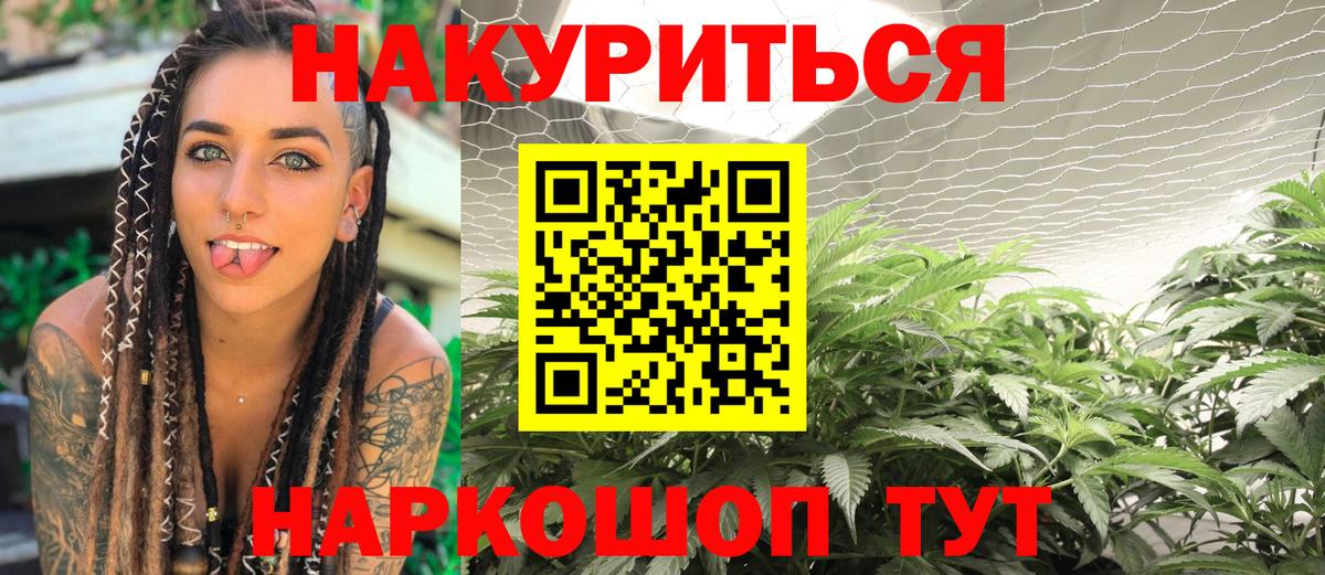 Каннабис Amnesia  Вход с VPN  Каннабис Amnesia  Омск  Марихуана сатива 